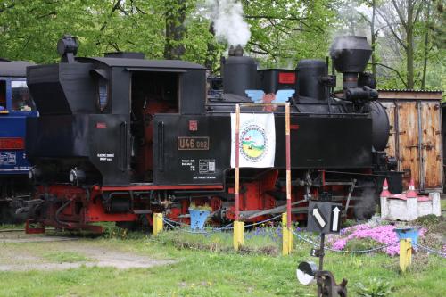 IMG 0649